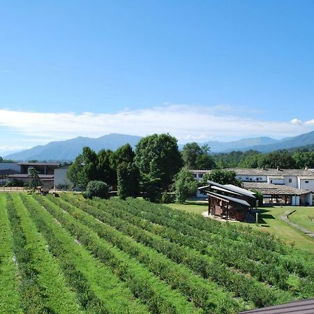 Agriturismo Il Frutto Permesso Villa Bibiana Esterno foto