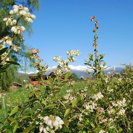Agriturismo Il Frutto Permesso Bibiana Esterno foto
