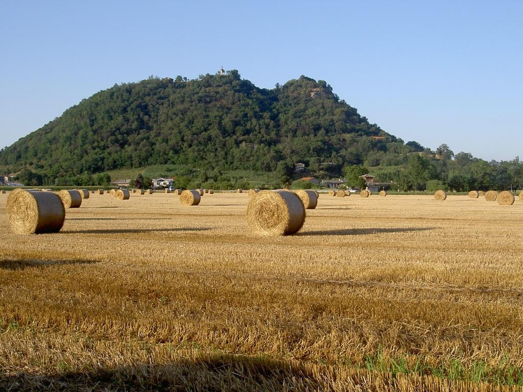 Agriturismo Il Frutto Permesso Villa Bibiana Esterno foto