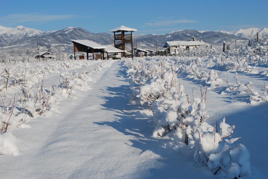 Agriturismo Il Frutto Permesso Bibiana Esterno foto