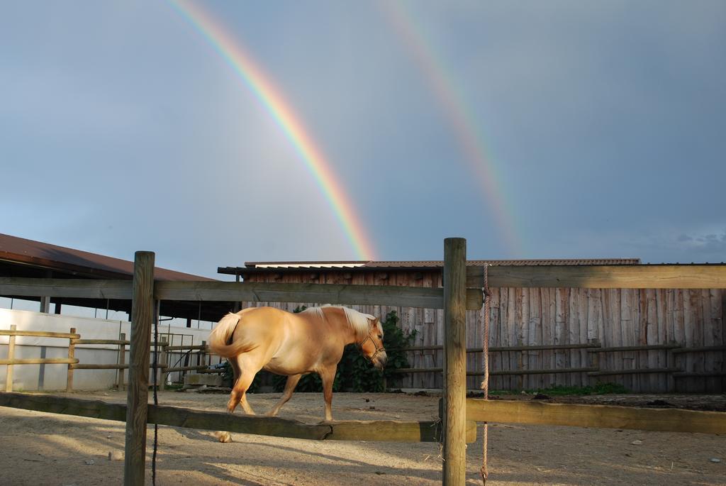 Agriturismo Il Frutto Permesso Bibiana Esterno foto