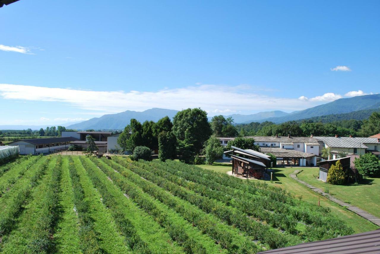 Agriturismo Il Frutto Permesso Bibiana Esterno foto