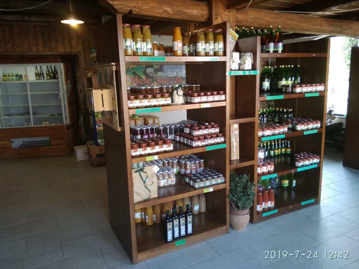 Agriturismo Il Frutto Permesso Bibiana Esterno foto